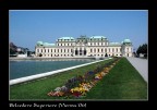 Belvedere superiore (Vienna)