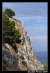 Dall'alto della rupe Dall'alto della rupe