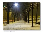 Pinerolo dopo la nevicata Pinerolo dopo la nevicata