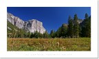 El Captain - Yosemite Valley El Captain - Yosemite Valley