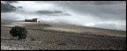 paesaggio rurale paesaggio rurale