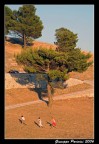 Il gigante ed i piccoli Il gigante ed i piccoli