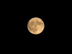 luna piena luna piena