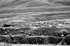 Gregge d'altaquota Gregge d'altaquota