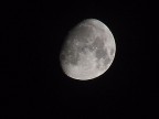 LUNA LUNA