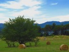 campagna in citta campagna in citta