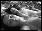 al sole al sole