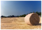 dscf5463 dscf5463