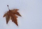 Winter Winter