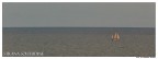 Strana solitudine Strana solitudine