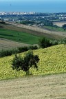 Panorama Panorama