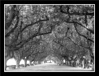 vIalE eStEro... vIalE eStEro...