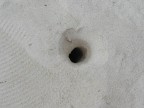 Il buco Il buco