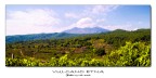 L'Etna e l'uva L'Etna e l'uva