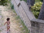 indifferente indifferente