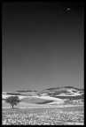 paesaggio b/n paesaggio b/n