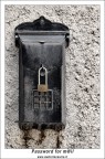 Password for m@il Password for m@il