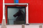 Scacchi metropolitani Scacchi metropolitani