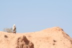 Matmata Matmata