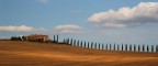 Casale e cipressi! Casale e cipressi!