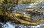 Acqua e Luce Acqua e Luce