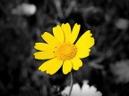 Prove di macro Prove di macro