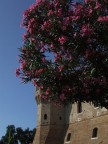 Gradara Gradara