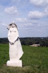 statua statua