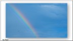 Arcobaleno