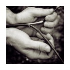 Le mani del vignaiolo