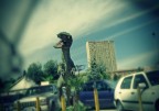Raptor ! Raptor !