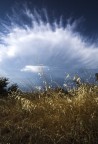 tra i miei campi il cielo tra i miei campi il cielo