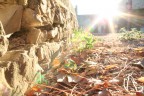 Volutamente controluce... Volutamente controluce...