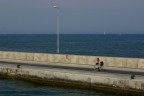 Passeggiando in Bicicletta in mezzo al mare Passeggiando in Bicicletta in mezzo al mare