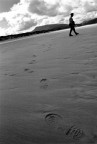 impronte impronte