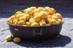 I Limoni di Ischia I Limoni di Ischia