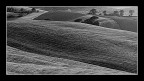 terra di Toscana terra di Toscana