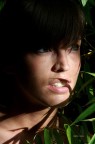 luce nel canneto luce nel canneto