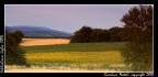 Cartolina dalla Valdichiana Cartolina dalla Valdichiana