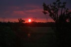 Alba sui tralicci Alba sui tralicci