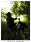 Musica in Controluce Musica in Controluce