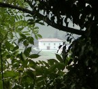 Il soggetto forse non � granch�, ma mi piaceva l'inquadratura poco usuale! In fase di fotoritocco, dato che le foglie erano scurissime mentre la casa era quasi bianca, sono dovuto intervenire parecchio, con risultati non proprio perfetti