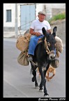 Verso casa Verso casa