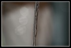 semplicemente acqua semplicemente acqua