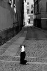 Non la solita attesa.. Non la solita attesa..