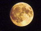 LUNA LUNA