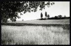 paesaggio bn1 paesaggio bn1