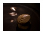 Wabi Sabi Wabi Sabi