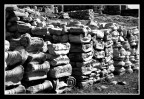 Cambio gomme?No, Capitelli! Cambio gomme?No, Capitelli!