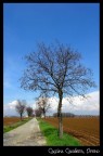 cascina cavallera, oreno cascina cavallera, oreno